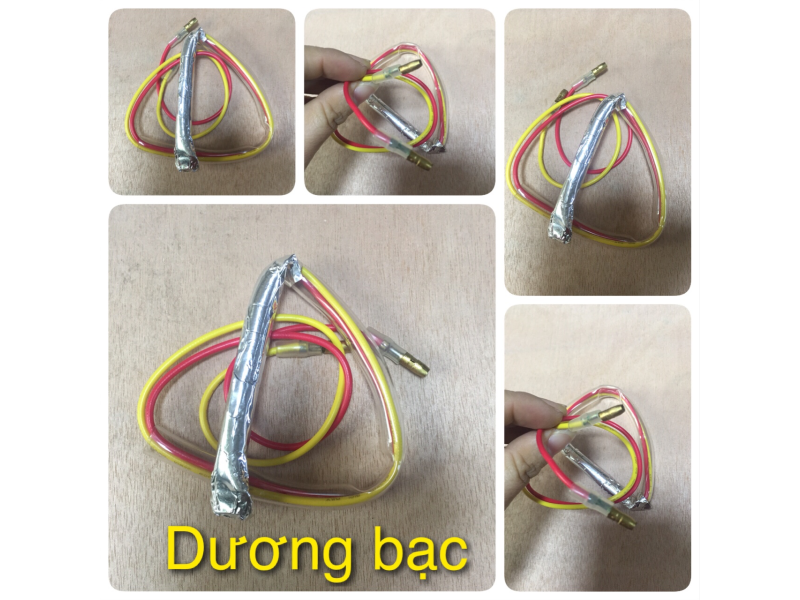 Dương Bạc